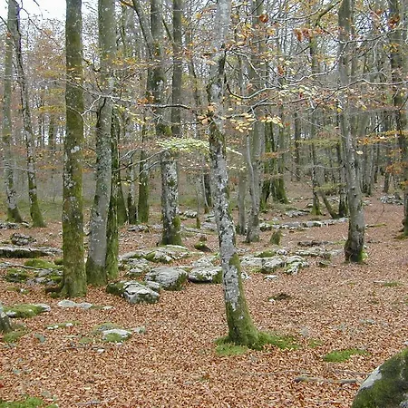 Sueve 24 *